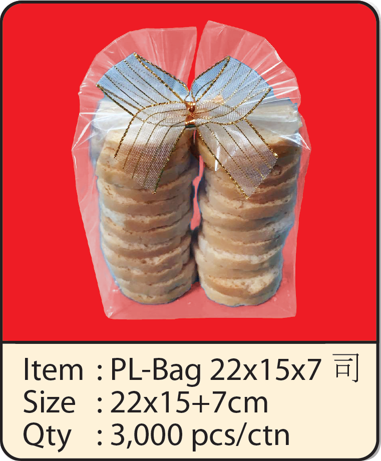 PL-BAG 22x15x7.png