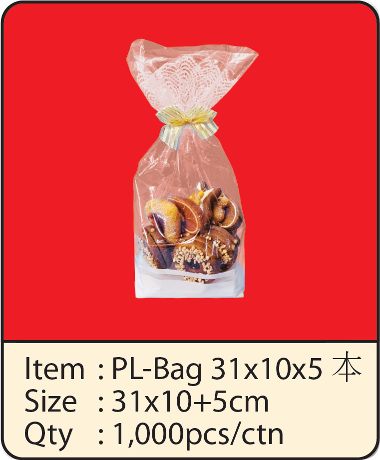 PL-BAG 31x10x5.png