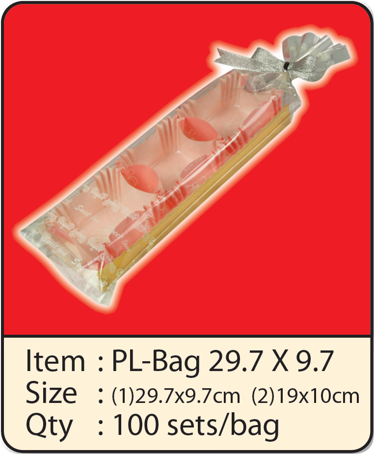 PL-BAG 29.7X9.7.png