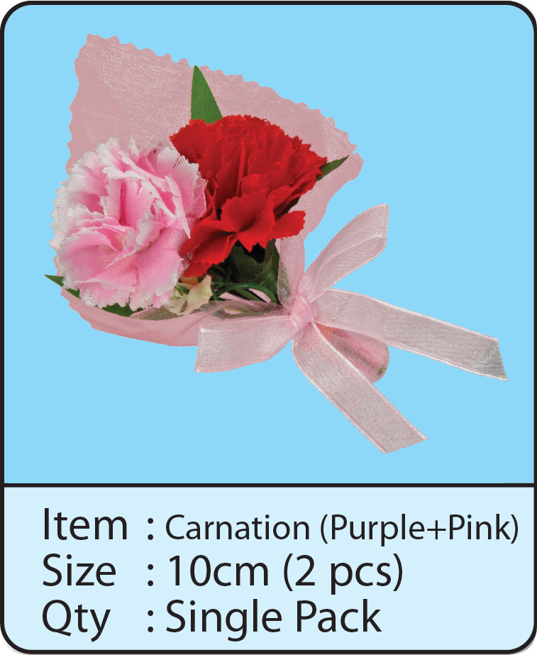 Carnation（Purple+Pink）.png