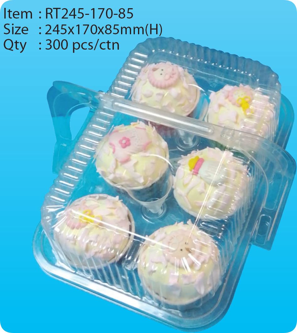 RT245-170-85.png
