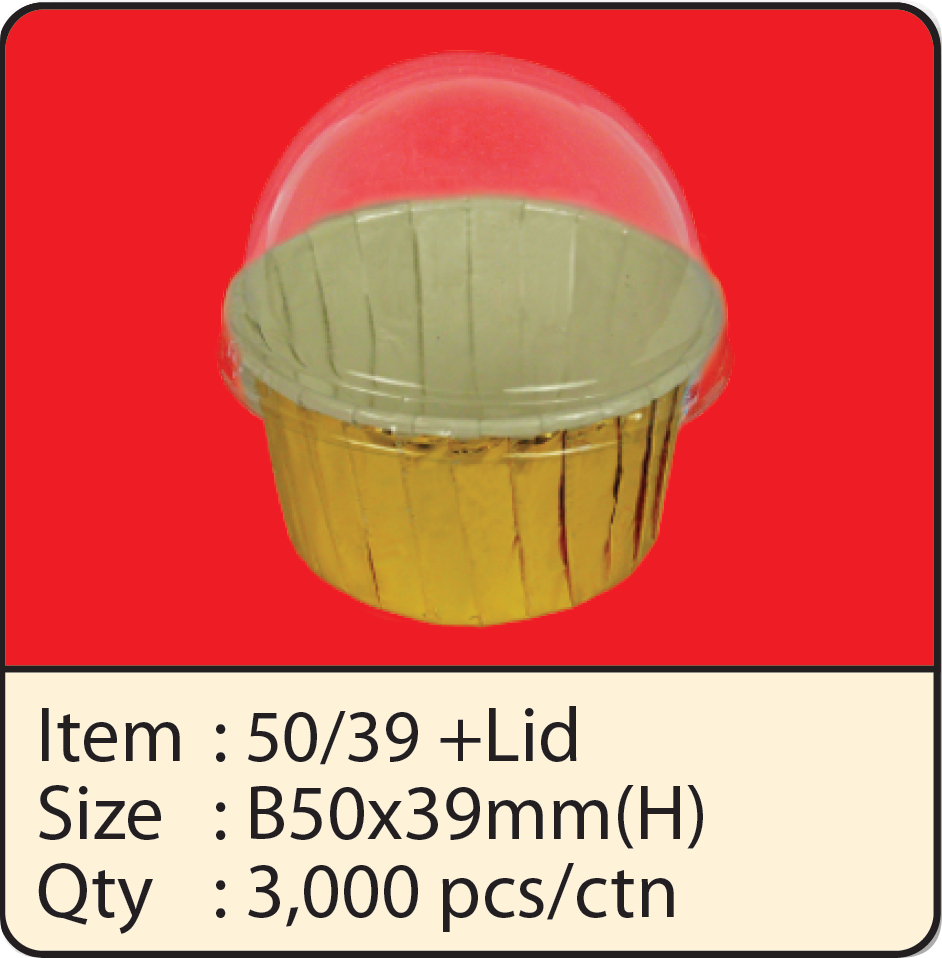 5039+LID2.png