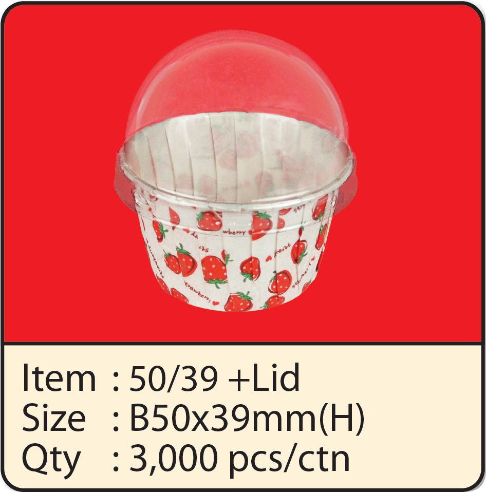 5039+LID3.png