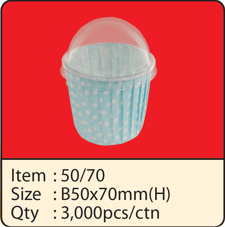 5070+LID2.png