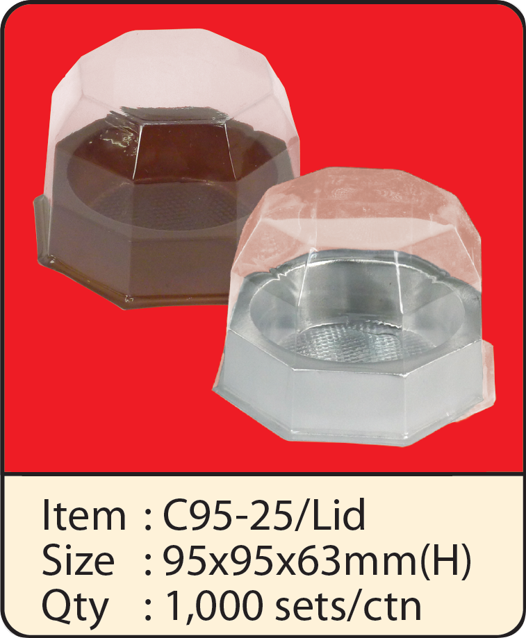 C95-25+LID.png