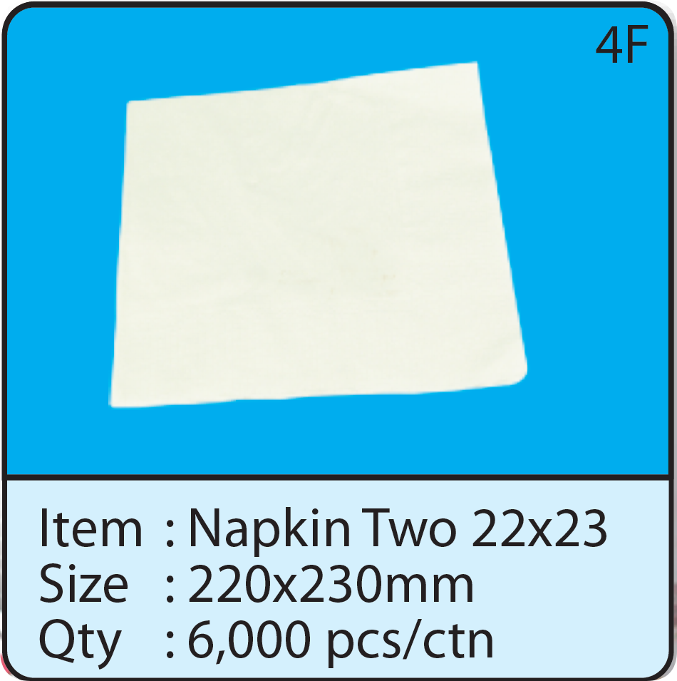 Napkin Two 22x23cm.png