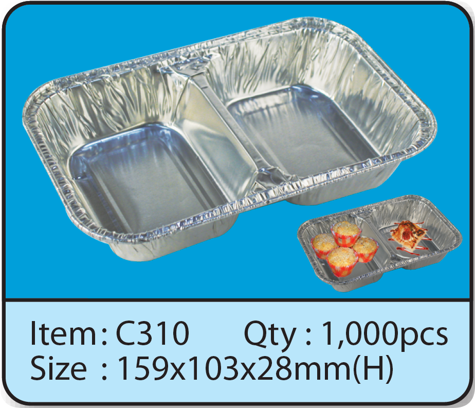 C310.png