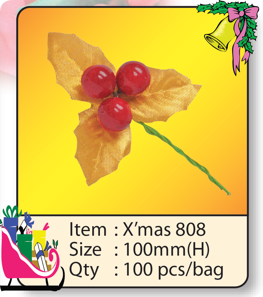 X'mas 808.png
