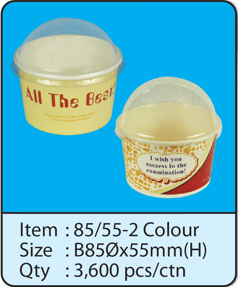 8555-2 Color.png