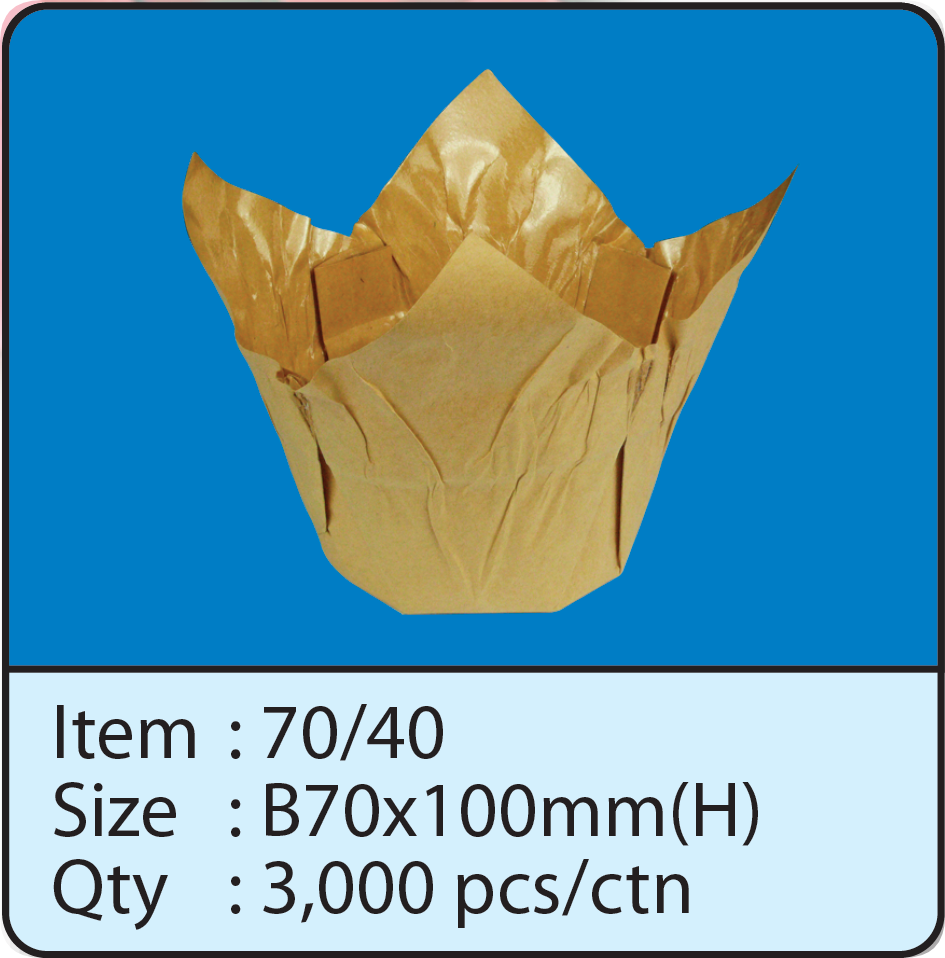 70x40 Kraft.png