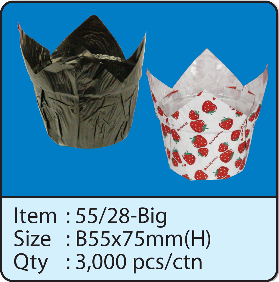 55x28-Big.png