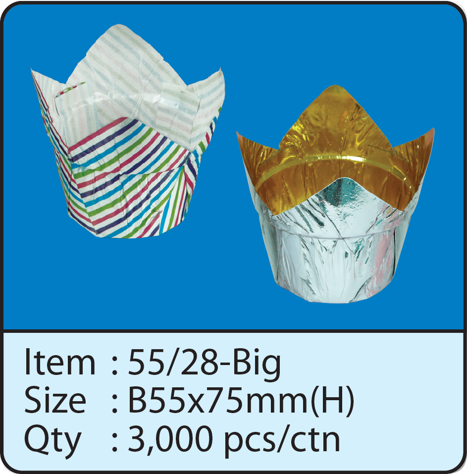 55x28-Big-1.png
