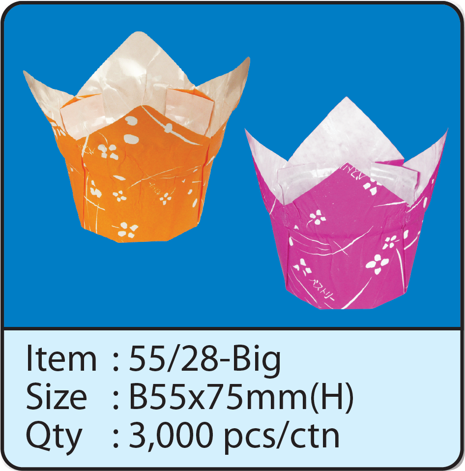 55x28-Big-2.png