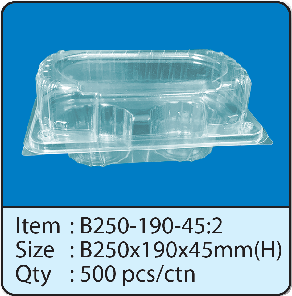 B250-190-45-2.png
