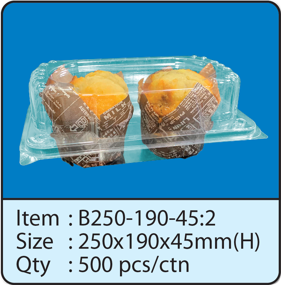 B250-190-45-2-1.png