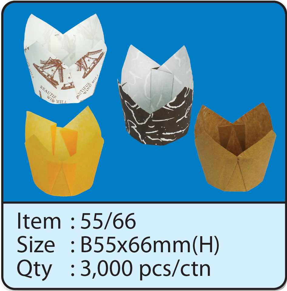 55X66.png