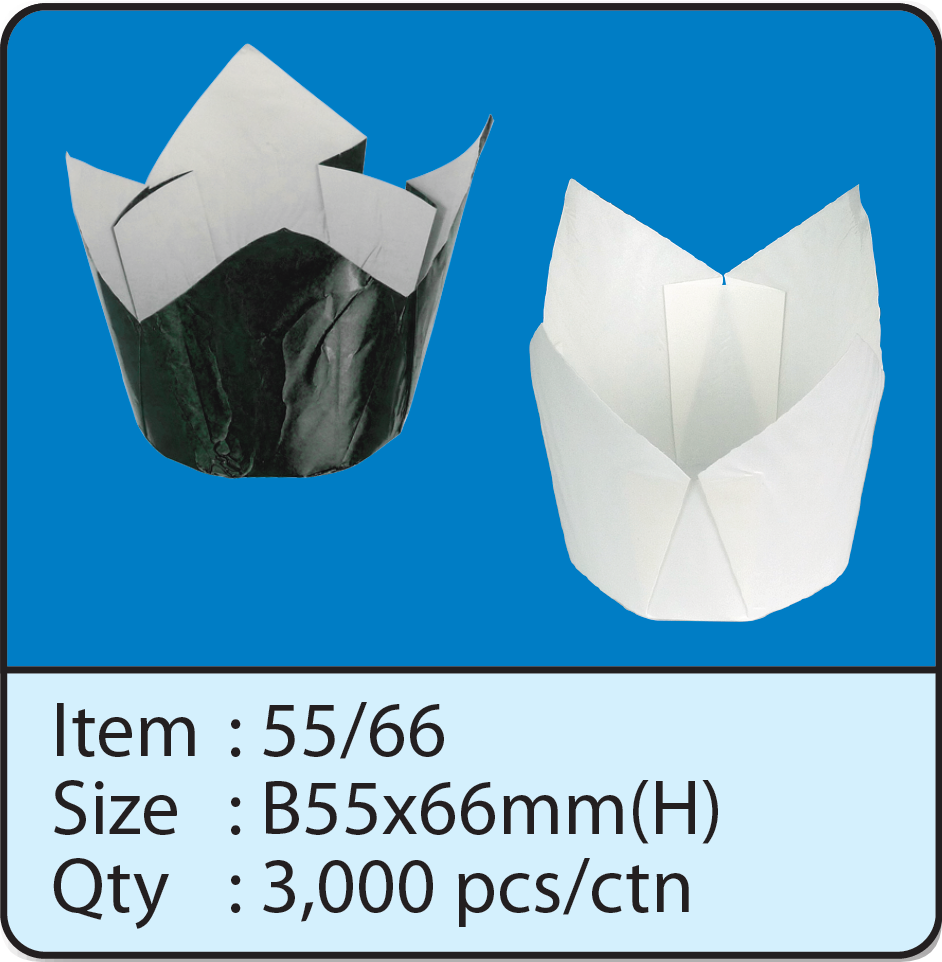 55x66-1.png