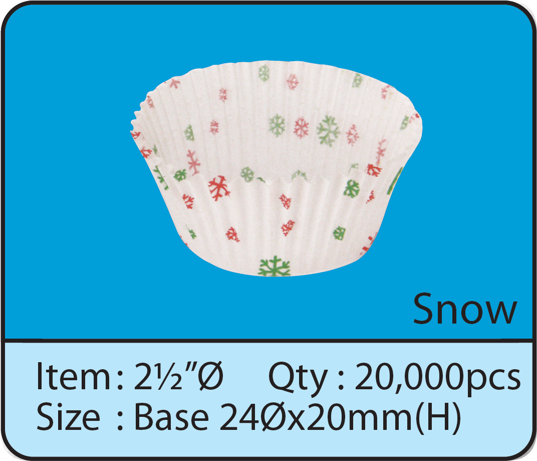 24x20-Snow.png