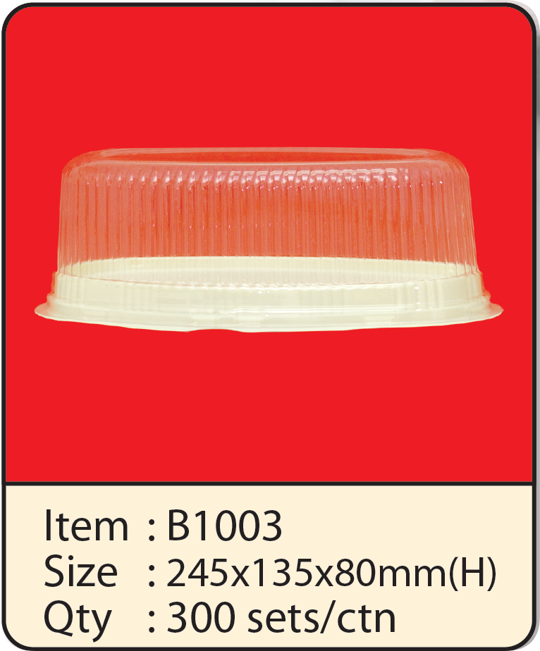 B1003.png
