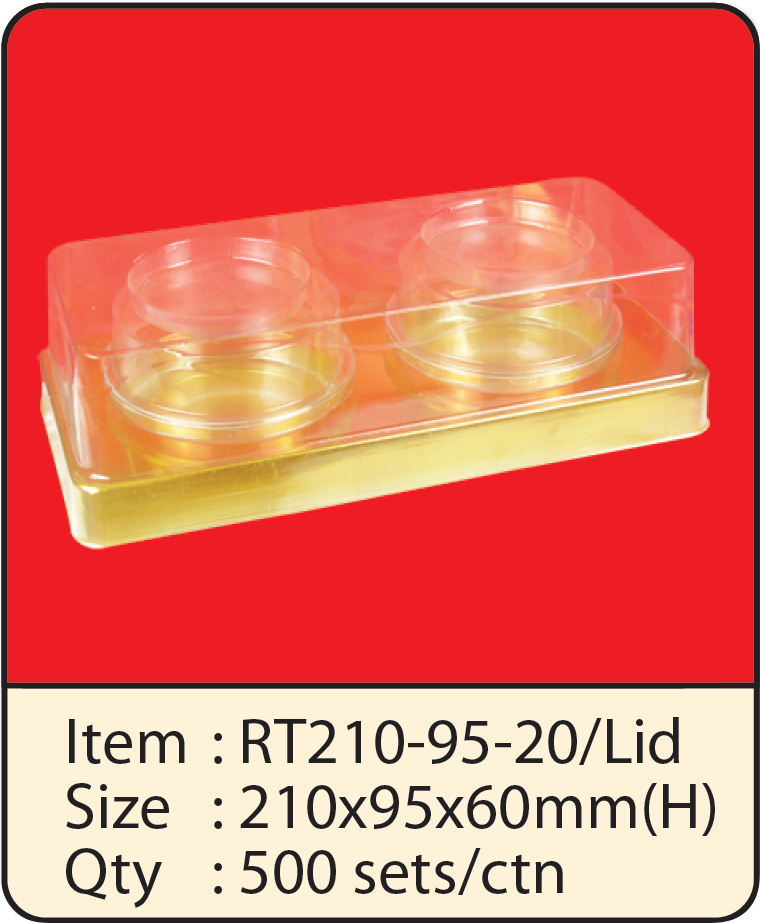 RT210-95-20+LID.png